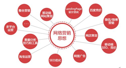 苔米傳媒為何聚焦網絡營銷 互聯網時代的上網服務新機遇
